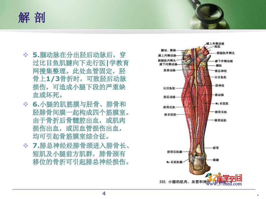 胫骨髓内钉内固定术文档资料_第4页