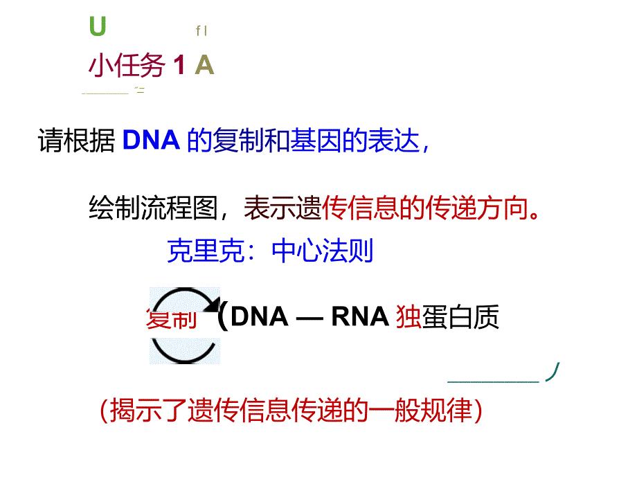 基因对性状的控制获奖课件_第2页