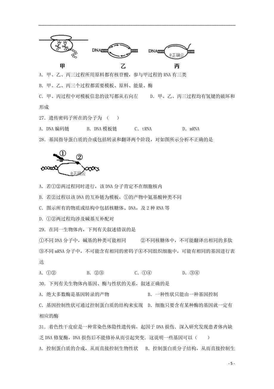 山东省青岛市城阳三中2018-2019学年高一生物下学期期中试题_第5页