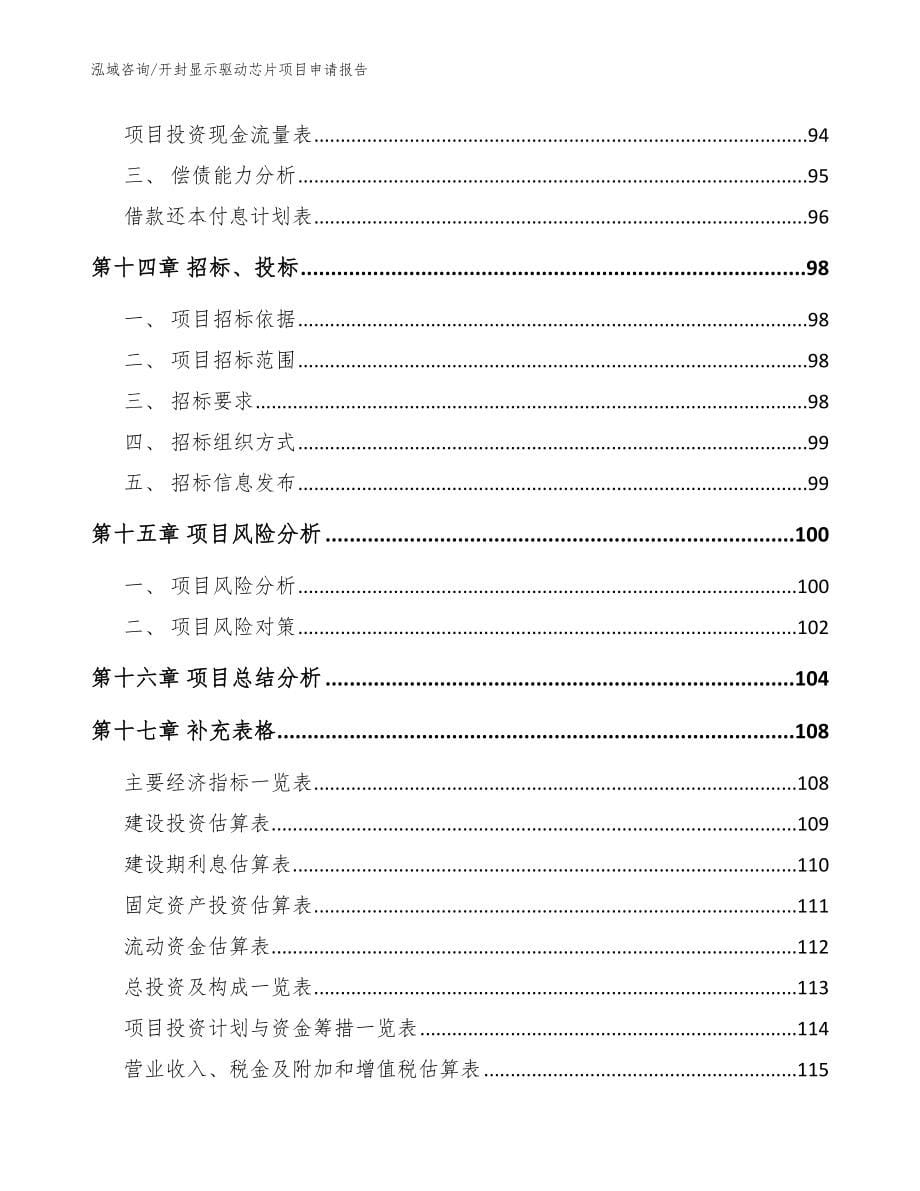 开封显示驱动芯片项目申请报告_第5页