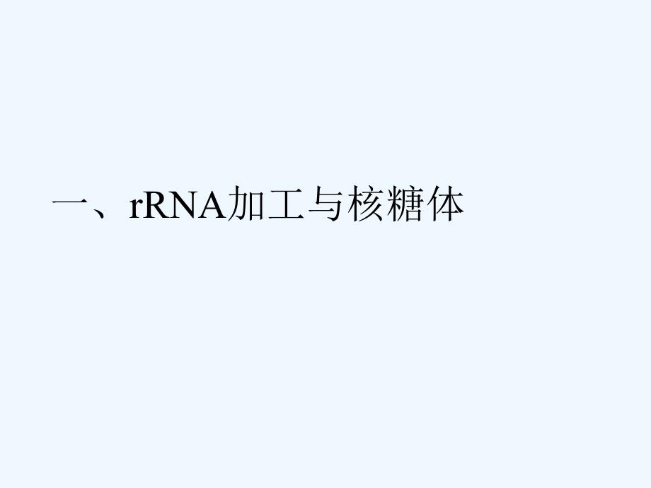 第十章-RNA加工与核糖核蛋白复合体ppt课件_第2页