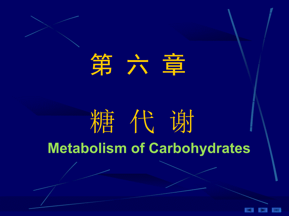 生物化学和分子生物学：6- 糖代谢_第2页