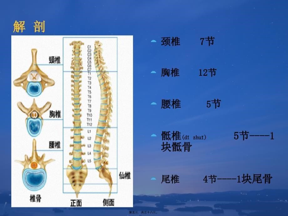 医学专题—腰椎骨折切开复位内固定术---副本_第5页