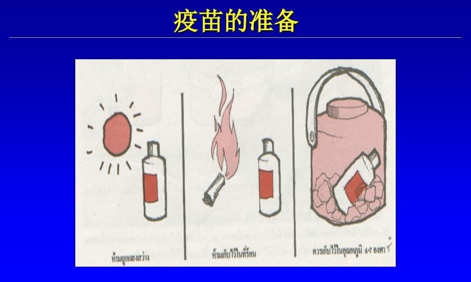 猪的疫苗注射注意事项_第5页