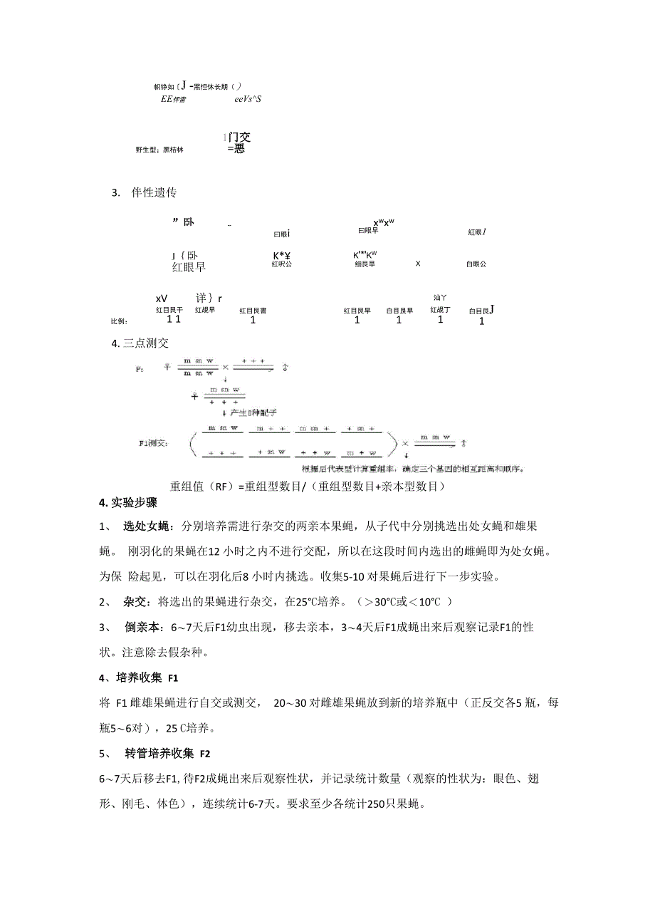 果蝇的有性杂交实验报告_第2页