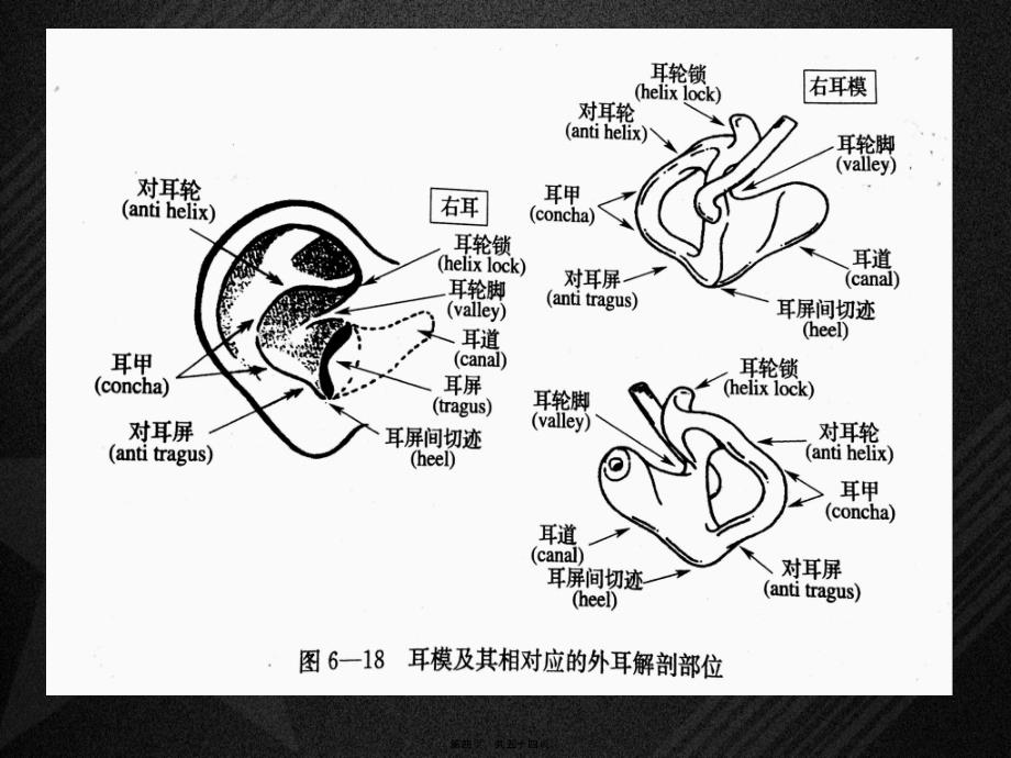 医学专题—耳膜及其声学特性7885_第4页