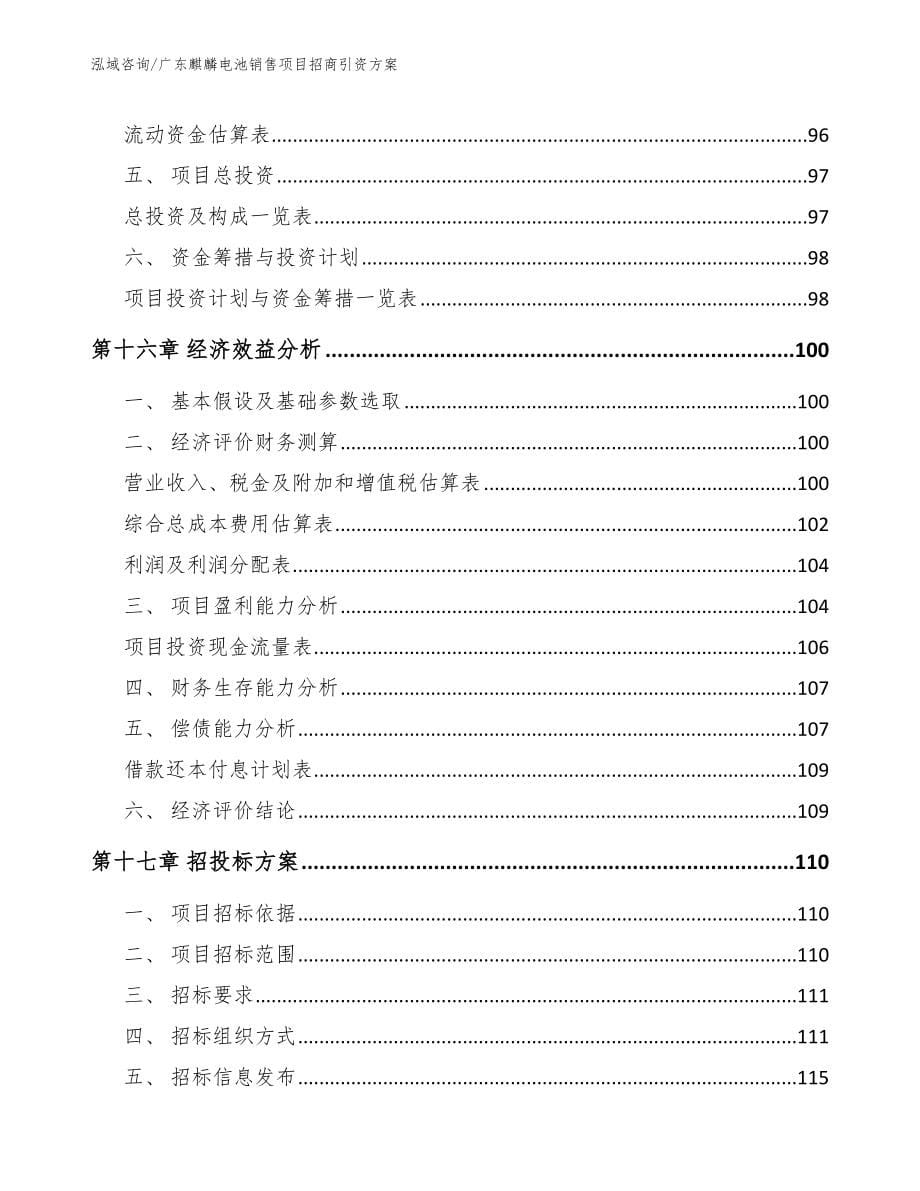 广东麒麟电池销售项目招商引资方案_范文参考_第5页