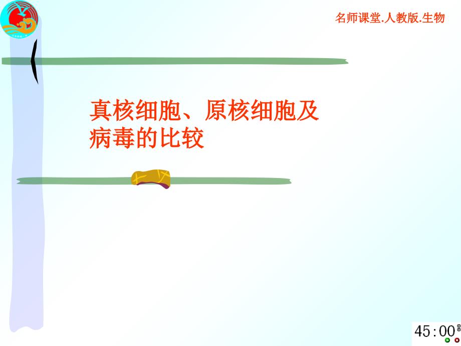 原核生物、真核生物与病毒_第1页