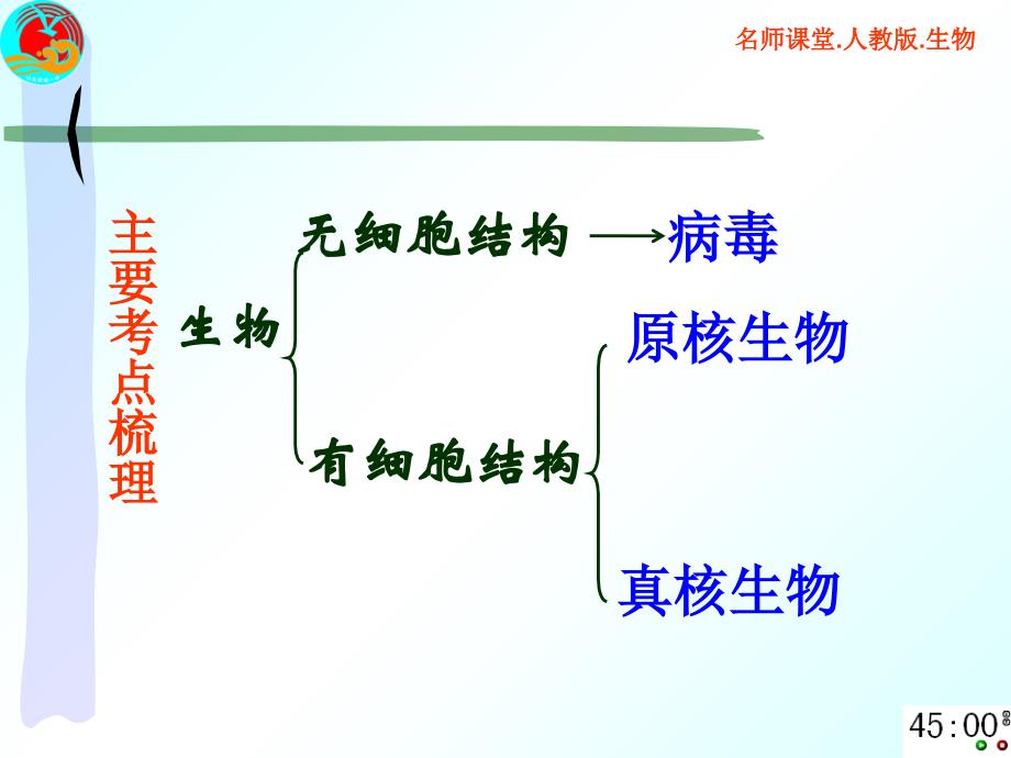 原核生物、真核生物与病毒_第3页