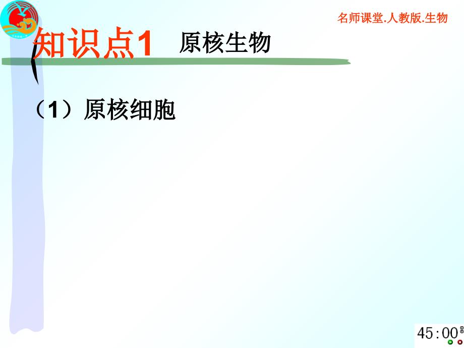 原核生物、真核生物与病毒_第4页