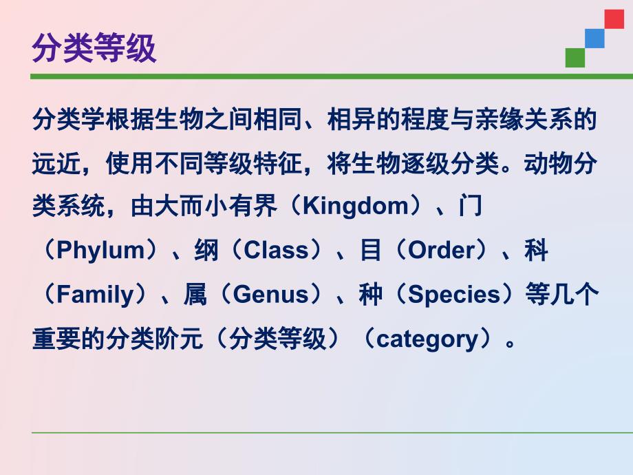 小学6年级动物分类ppt课件_第4页