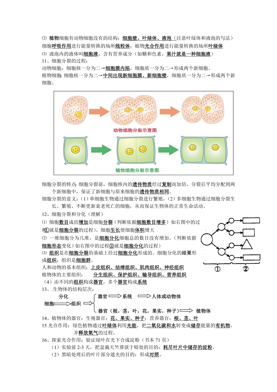 生物学七年级上册必考知识点(共4页)_第2页