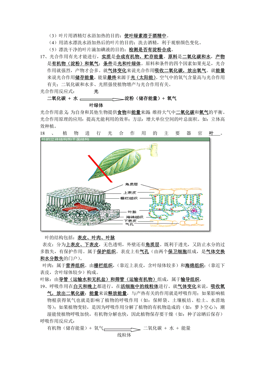 生物学七年级上册必考知识点(共4页)_第3页