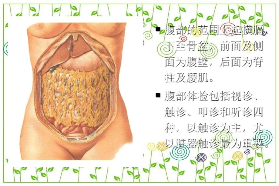 医学诊断学笔记第六章腹部_第2页