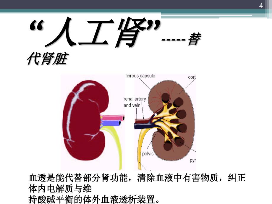 血透护理-PPT(精).ppt_第4页