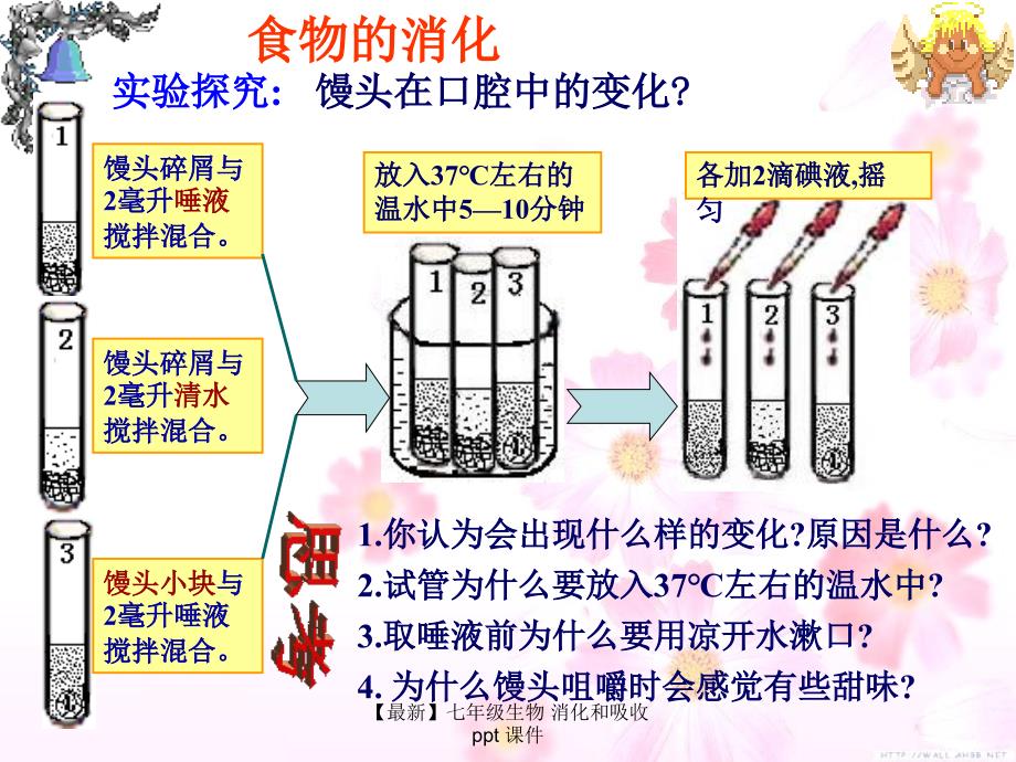 最新七年级生物消化和吸收ppt课件_第2页