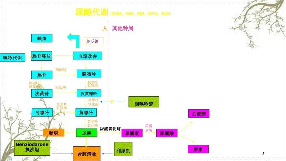 高尿酸与心血管事课件_第5页