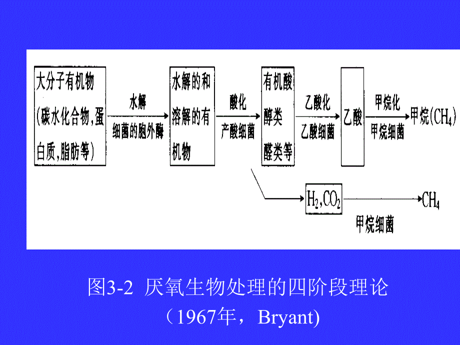 生物课件第三章废水厌氧生物处理技术_第4页