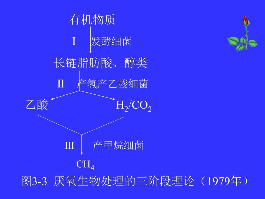 生物课件第三章废水厌氧生物处理技术_第5页