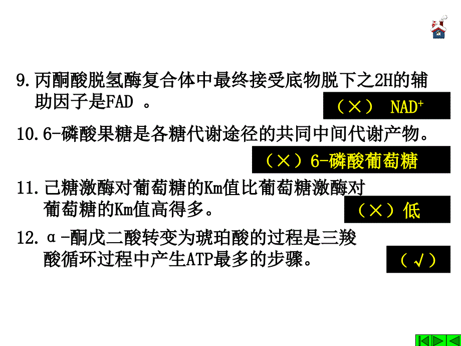 习题课 第03章 糖代谢习题_第4页