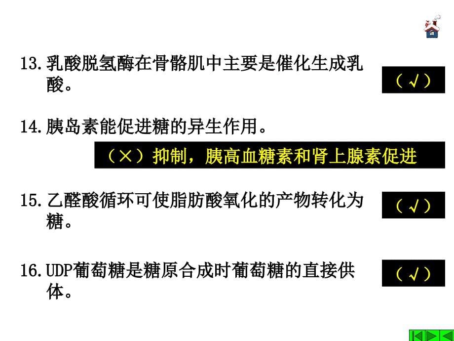 习题课 第03章 糖代谢习题_第5页