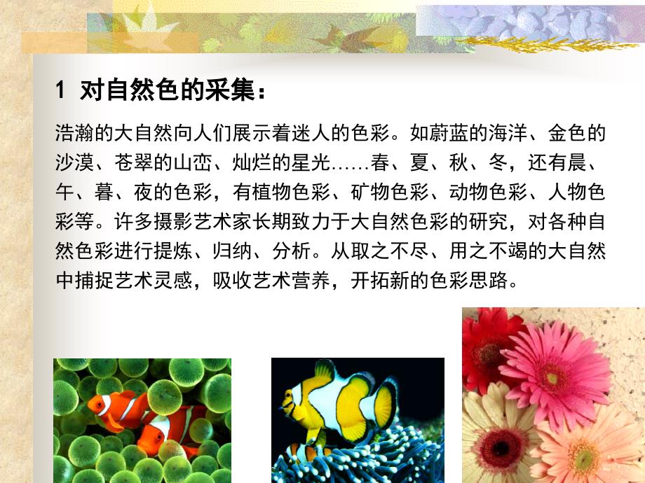 设计色彩解构(课件).ppt_第4页