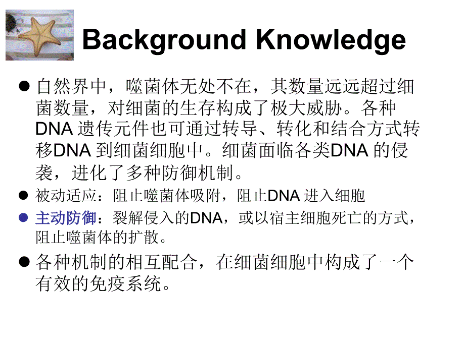 解析细菌免疫系统_第3页