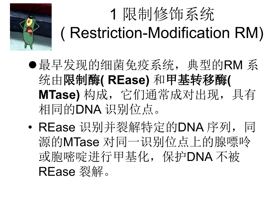 解析细菌免疫系统_第4页