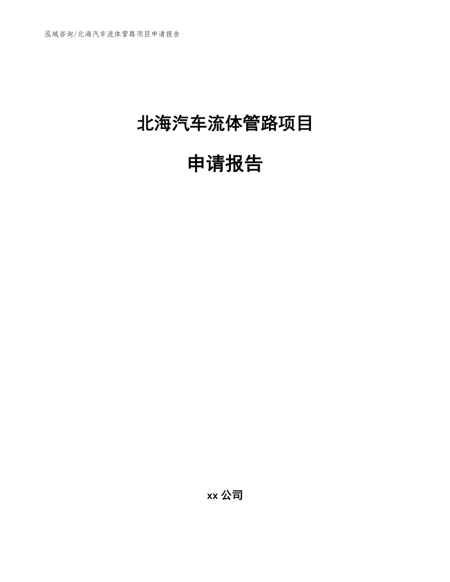 北海汽车流体管路项目申请报告_模板_第1页