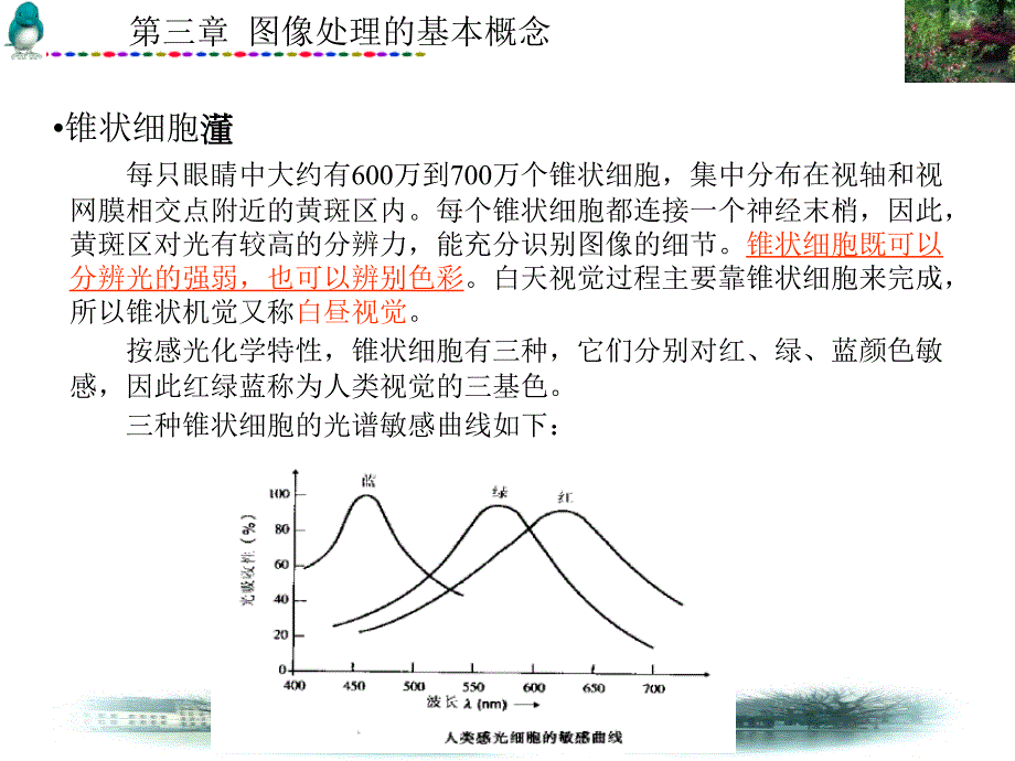 图像处理的基本知识_第4页