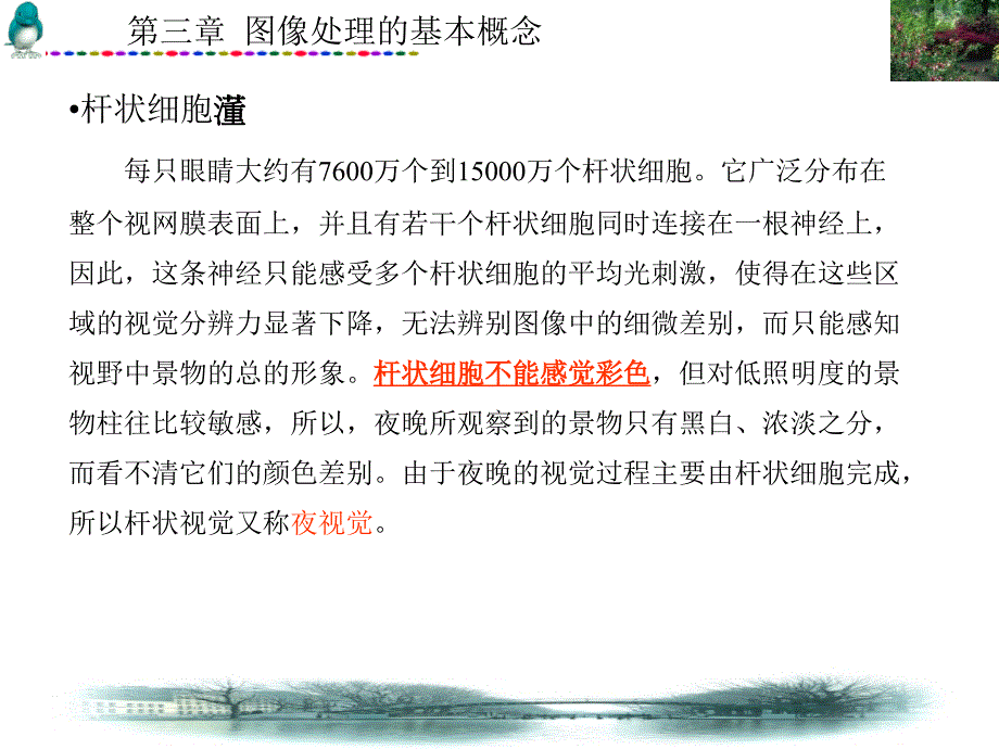 图像处理的基本知识_第5页