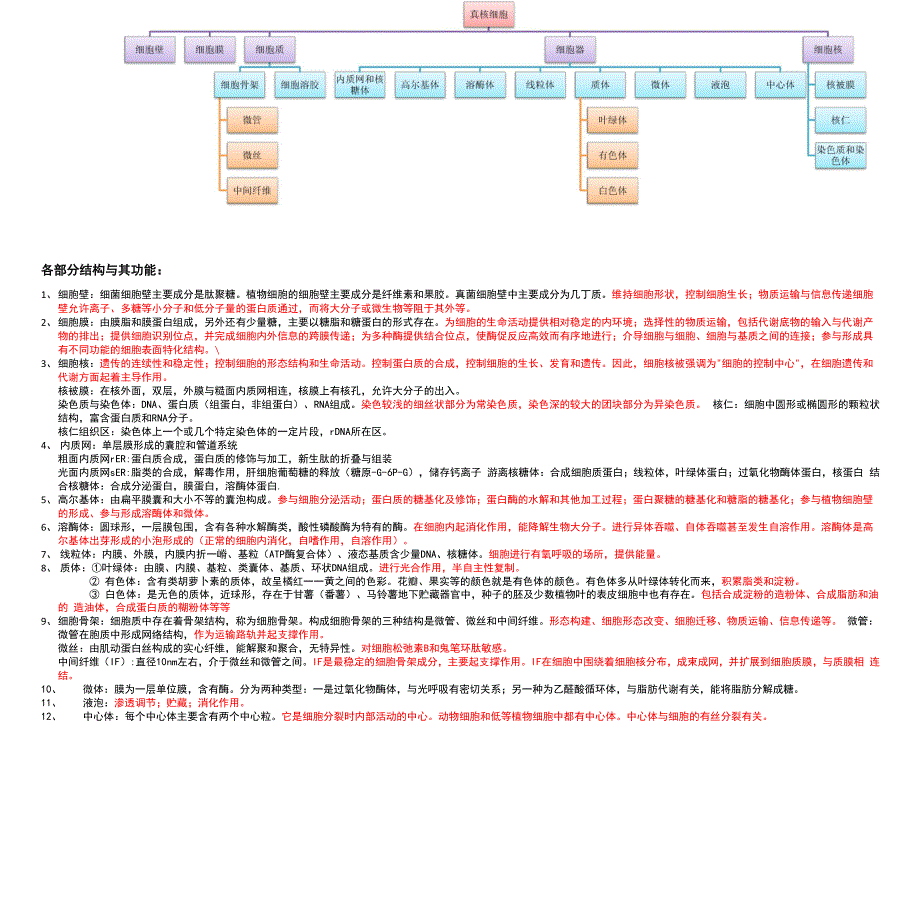 真核细胞的结构与功能_第1页