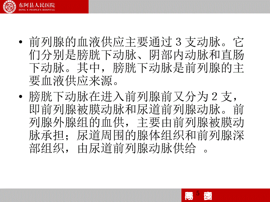 前列腺的解剖和生理PowerPoint 演示文稿_第5页