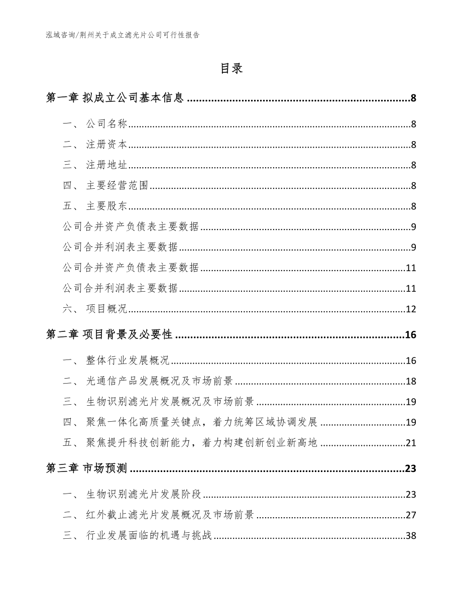 荆州关于成立滤光片公司可行性报告（范文）_第3页