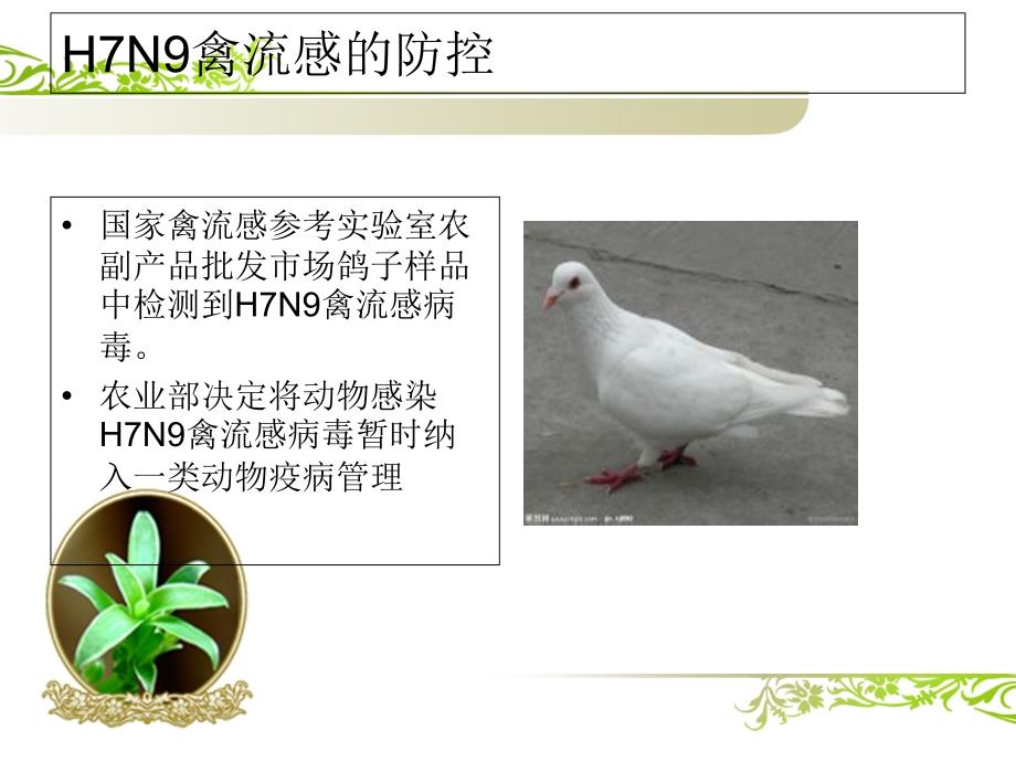 H7N9禽流感的防控_第4页