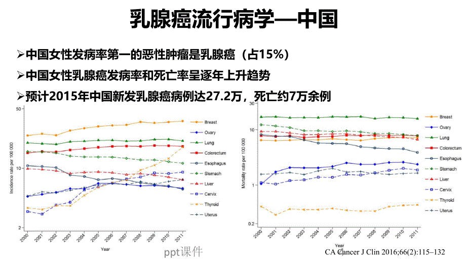 三阴性乳腺癌诊治现状ppt课件_第4页