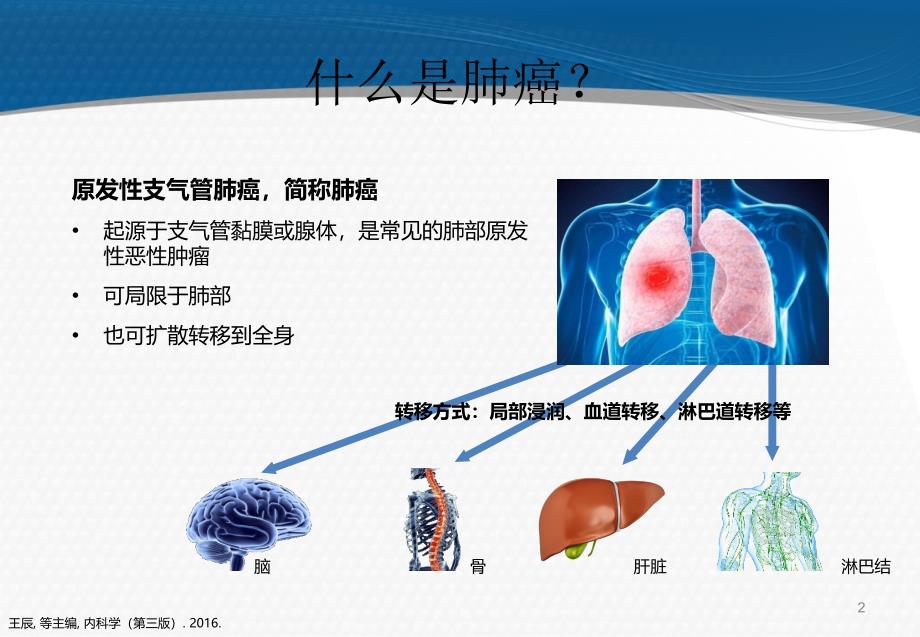 肺癌基础知识ppt课件_第2页