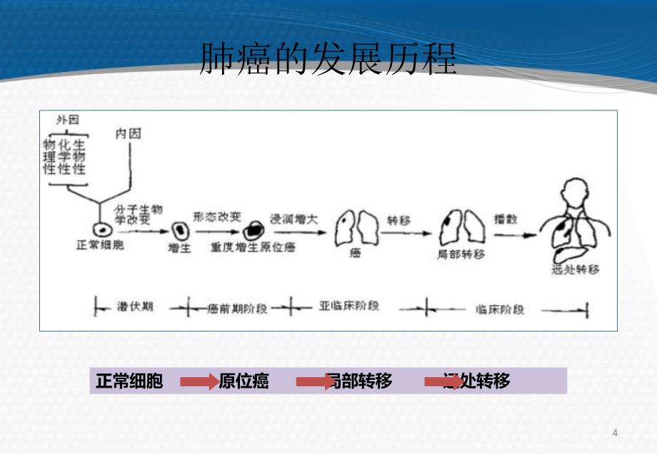 肺癌基础知识ppt课件_第4页