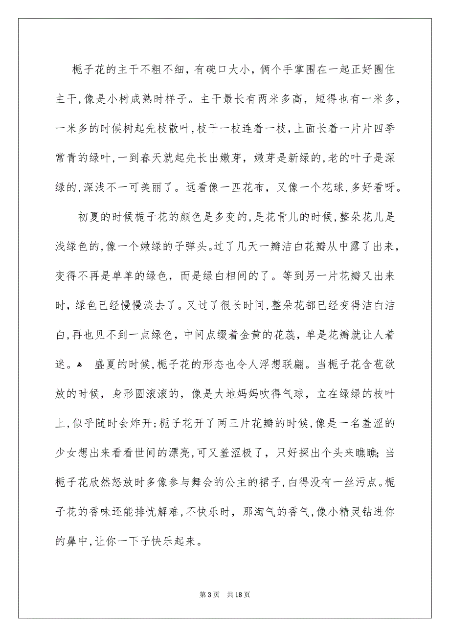 观察日记600字_第3页