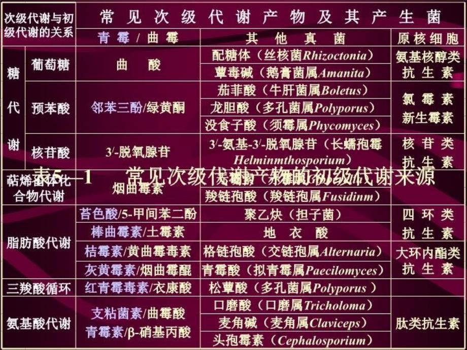 最新微生物生理PPT课件_第3页