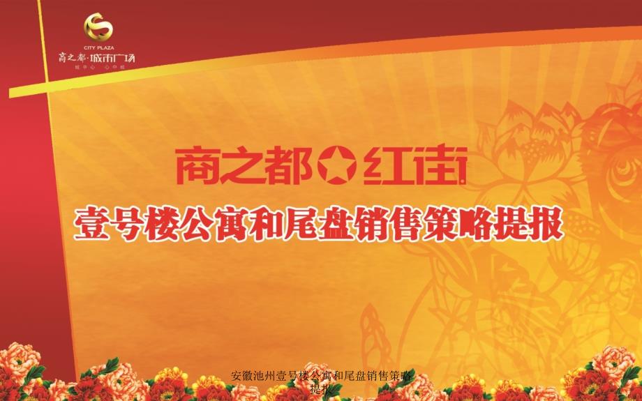 安徽池州壹号楼公寓和尾盘销售策略提报课件_第1页