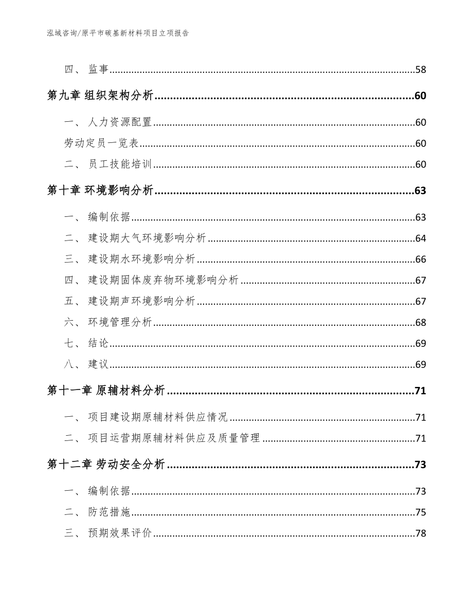 原平市碳基新材料项目立项报告（参考模板）_第3页