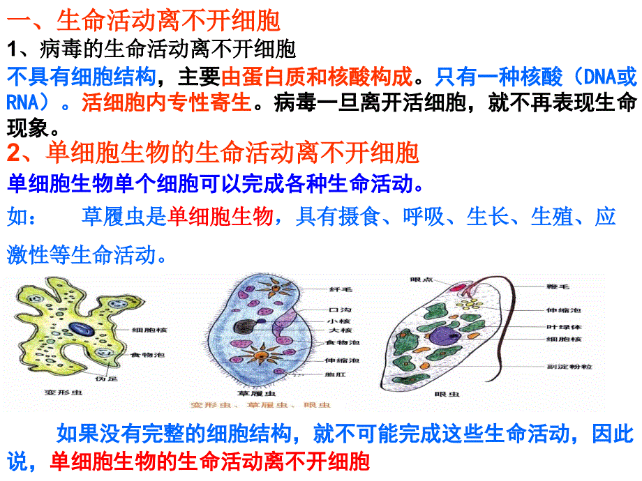 高一生物必修一第一节ppt_第3页