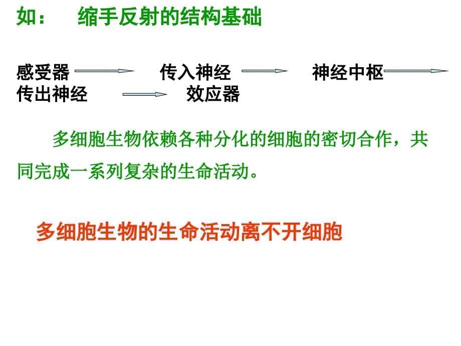 高一生物必修一第一节ppt_第5页