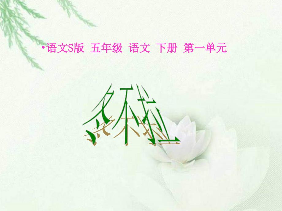 3冬不拉课件小学语文语文S版版五年级下册12324.ppt_第1页