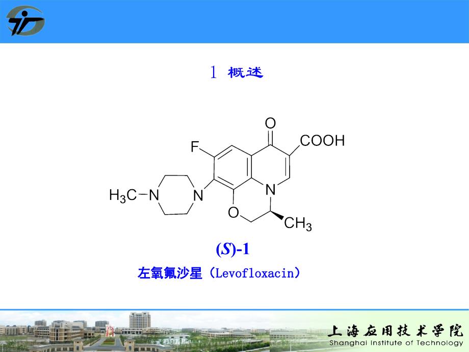 盐酸左氧氟沙星生产工艺ppt课件_第3页