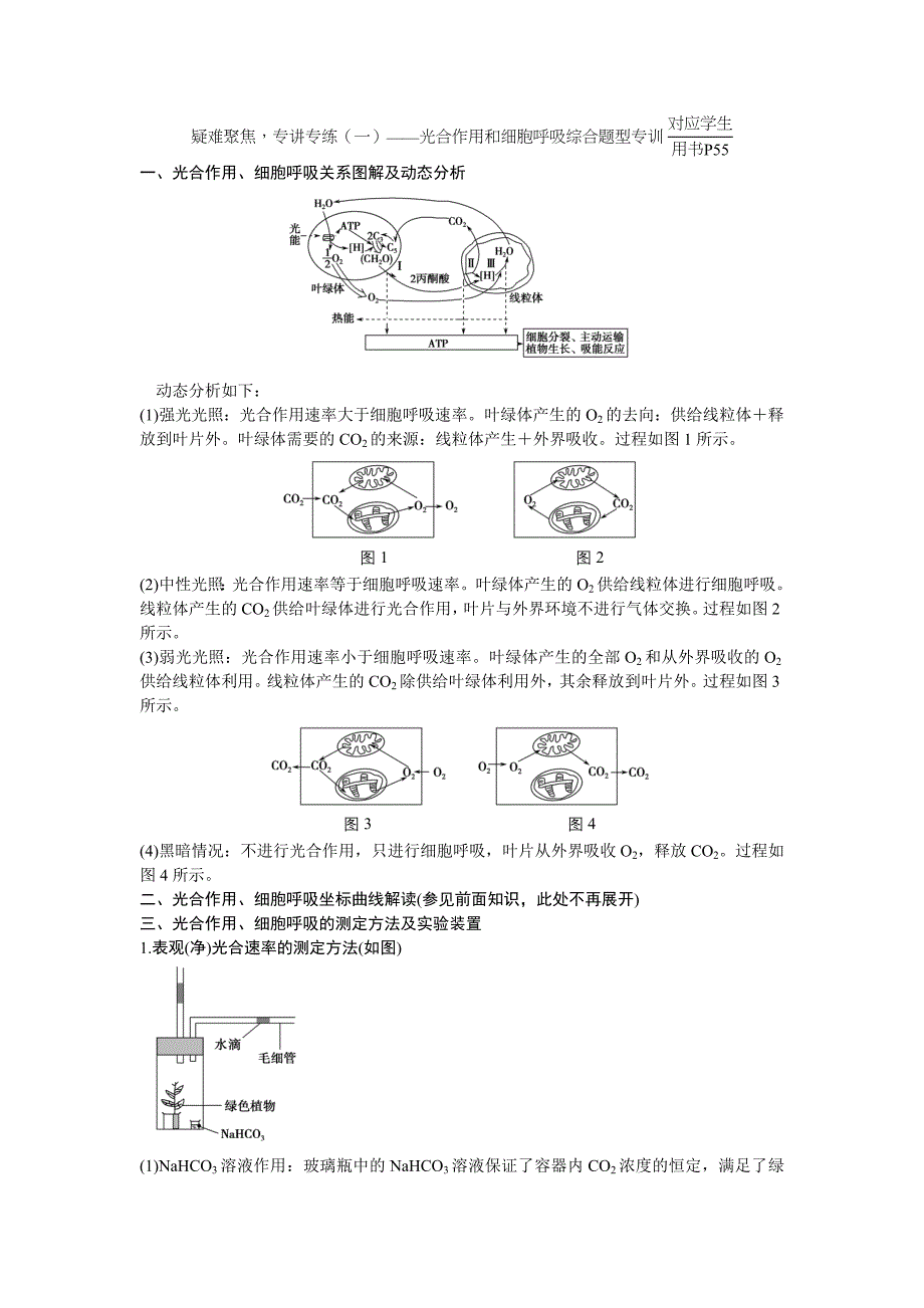 疑难聚焦,专讲专题(一).doc_第1页