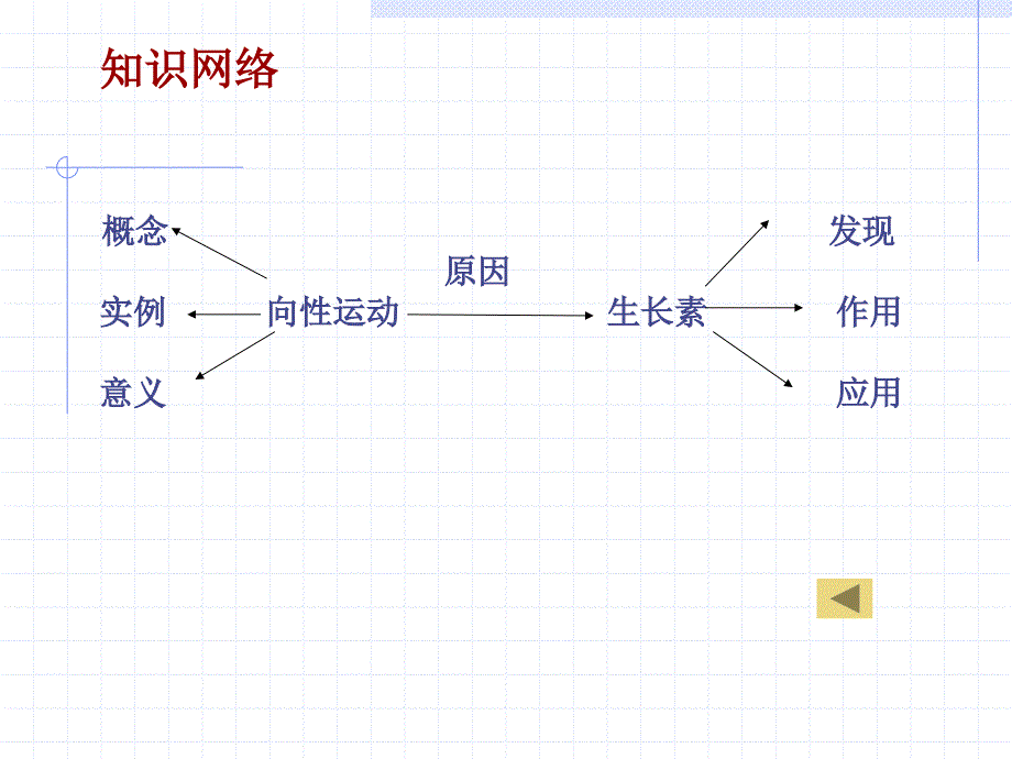 植物激素上课_第4页