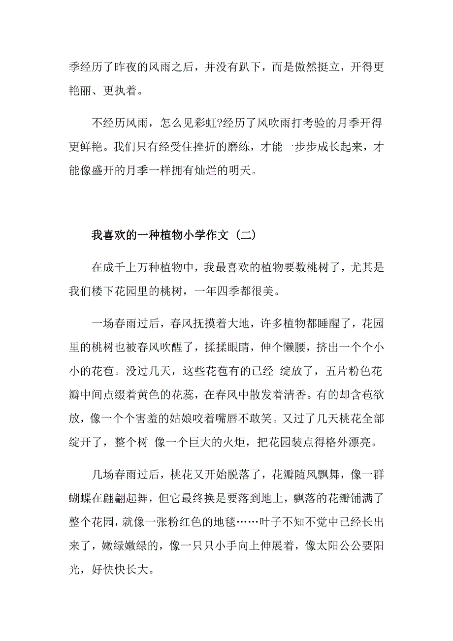 我喜欢的一种植物小学作文五篇_第2页