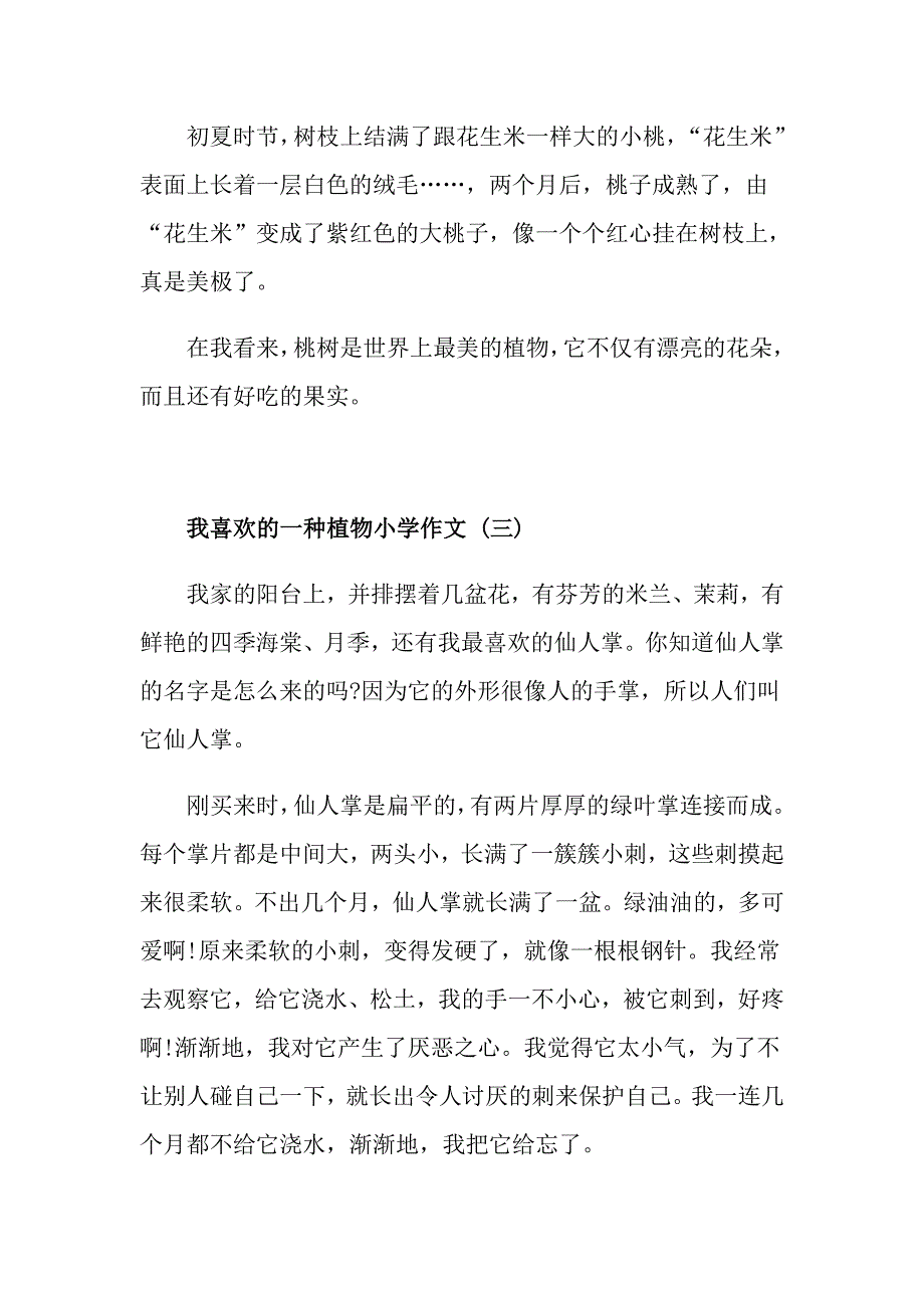 我喜欢的一种植物小学作文五篇_第3页